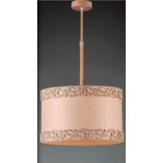 Lámparas Techo con...