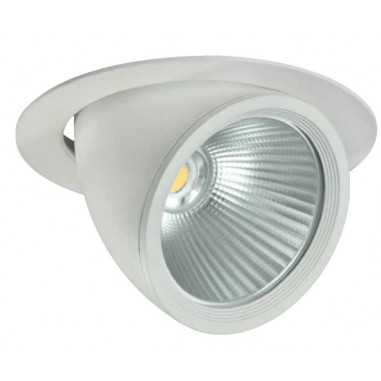 Down Light Orientable