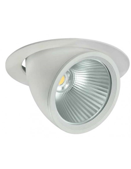 Down Light Orientable