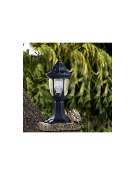 Sobremuro Angélica Negro