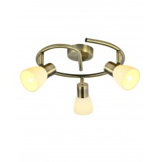 Oferta Plafón de Techo Cholo