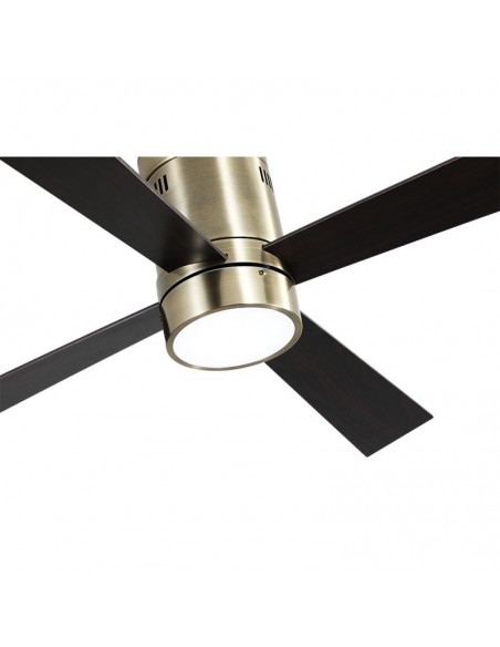 Novedad ventilador Barine Fabrilamp