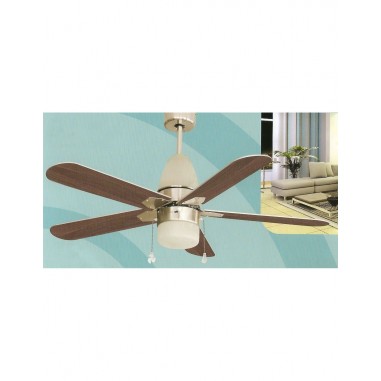 Ventiladores de Techo Palma