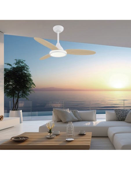 Mahón ventilador DC con CCT