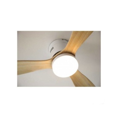 Ventiladores de Techo Baratos