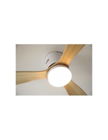 Ventiladores de Techo Baratos