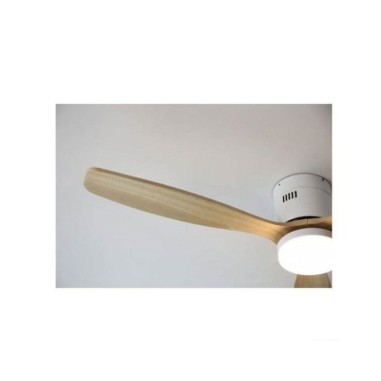 Ventiladores de Techo Baratos