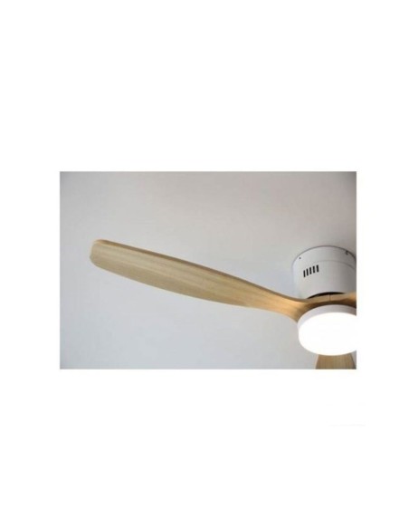 Ventiladores de Techo Baratos