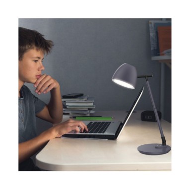 Flexo Led Intensidad Regulable Barato