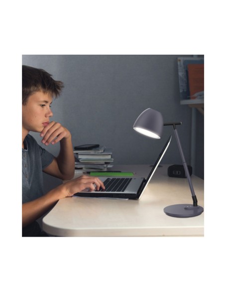 Flexo Led Intensidad Regulable Barato