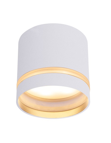 Plafón superficie blanco