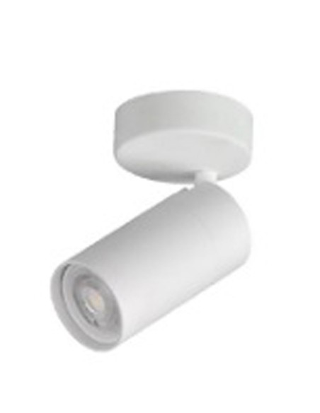 Plafón 1 Foco Orientables Blancos o Negros