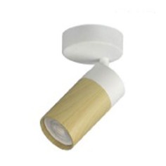 Plafón 1 Foco Orientables...