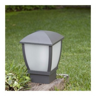 Sobremuros en Sevilla