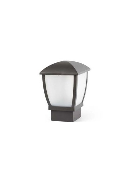 Sobremuros en Sevilla