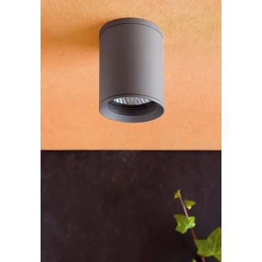 Plafón para Terraza