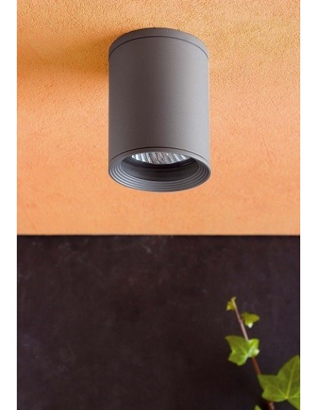 Plafón para Terraza