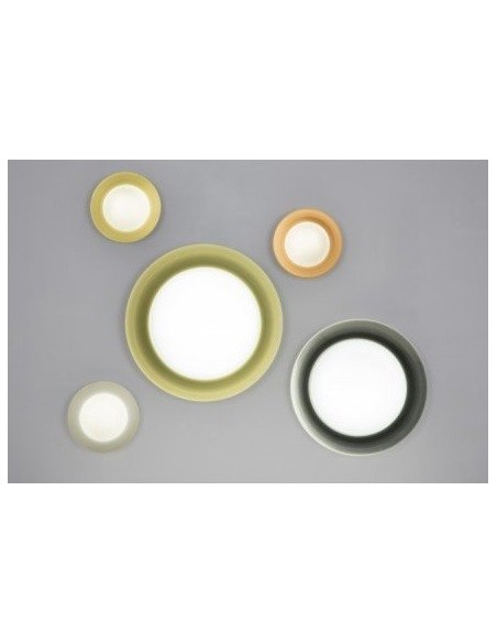 Plafones Bombillas Halógenas