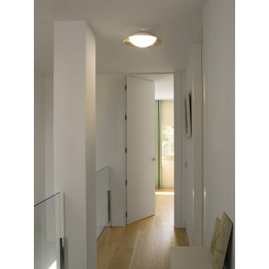 Plafones Techo Modernos Oro