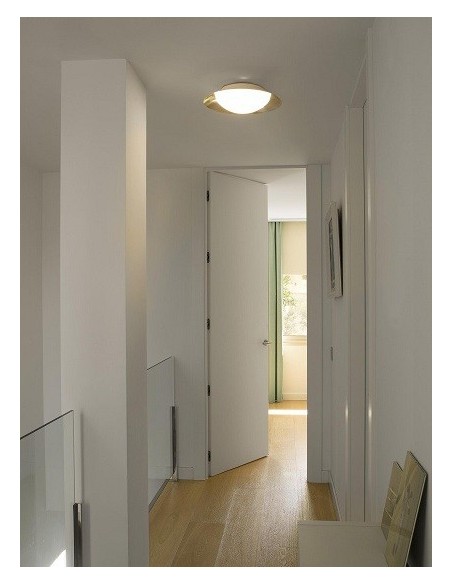 Plafones Techo Modernos Oro