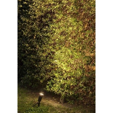 Lámpara Estaca Oferta Lámpara Estaca Oferta