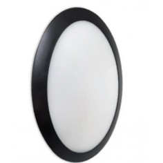 Plafón Exterior IK10 IP65